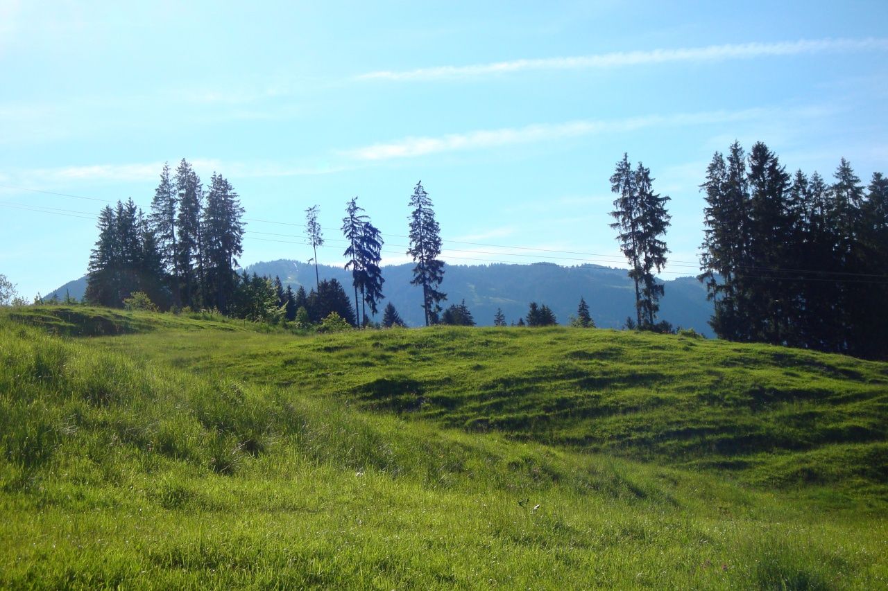 Wiesen entlang des Weges zwischen Aumühle und Maderhalm