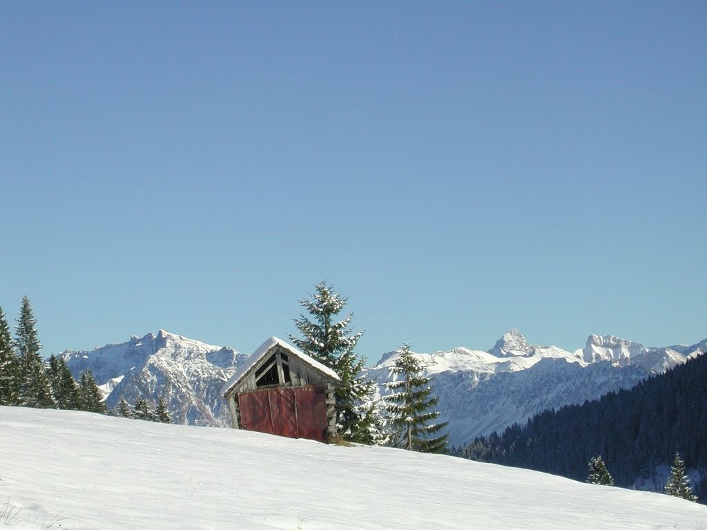 Winterlicher Panorama-Bergblick in Balderschwang