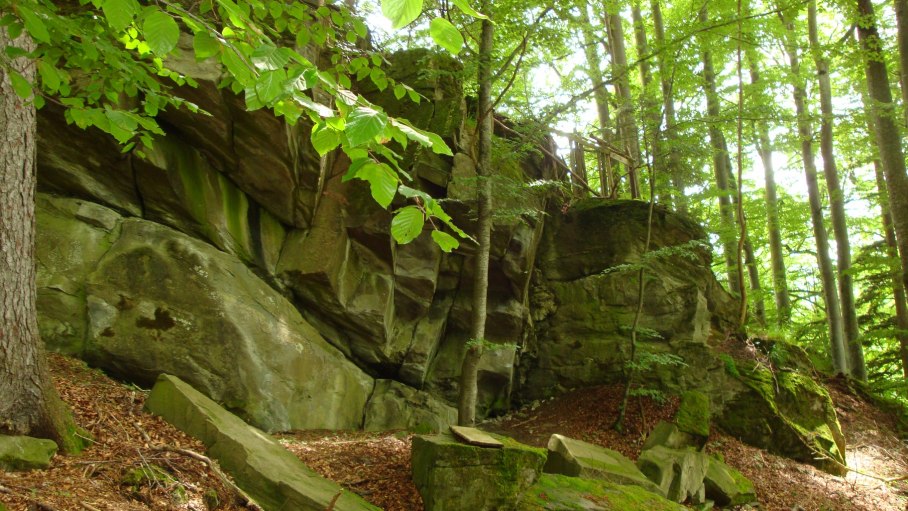 Moosbewachsene Felsen auf dem Weg zum Hinanger Wasserfall