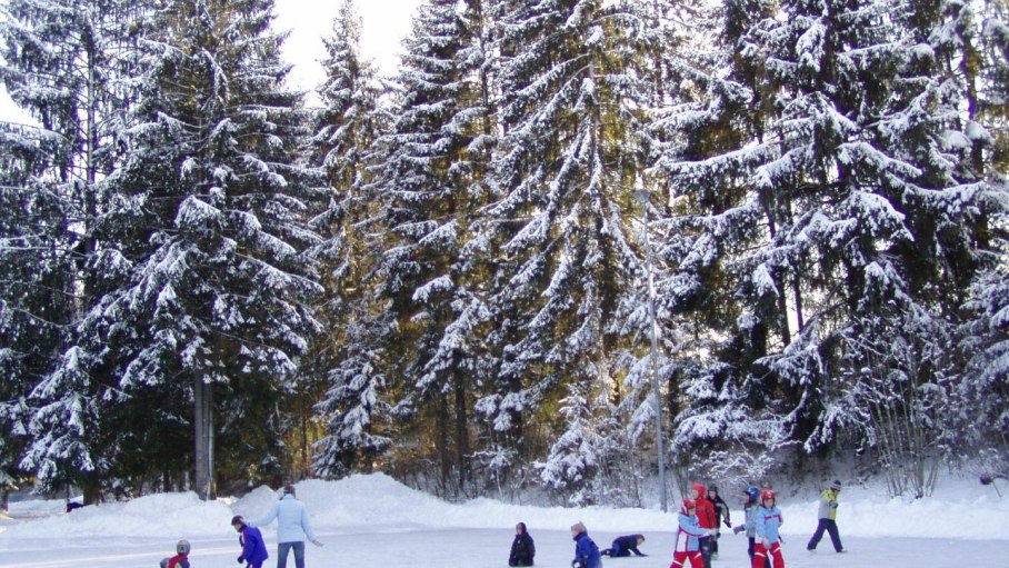 Eislaufen, Eisstockschießen, Schlittschuhe, © Tourismus Hörnerdörfer