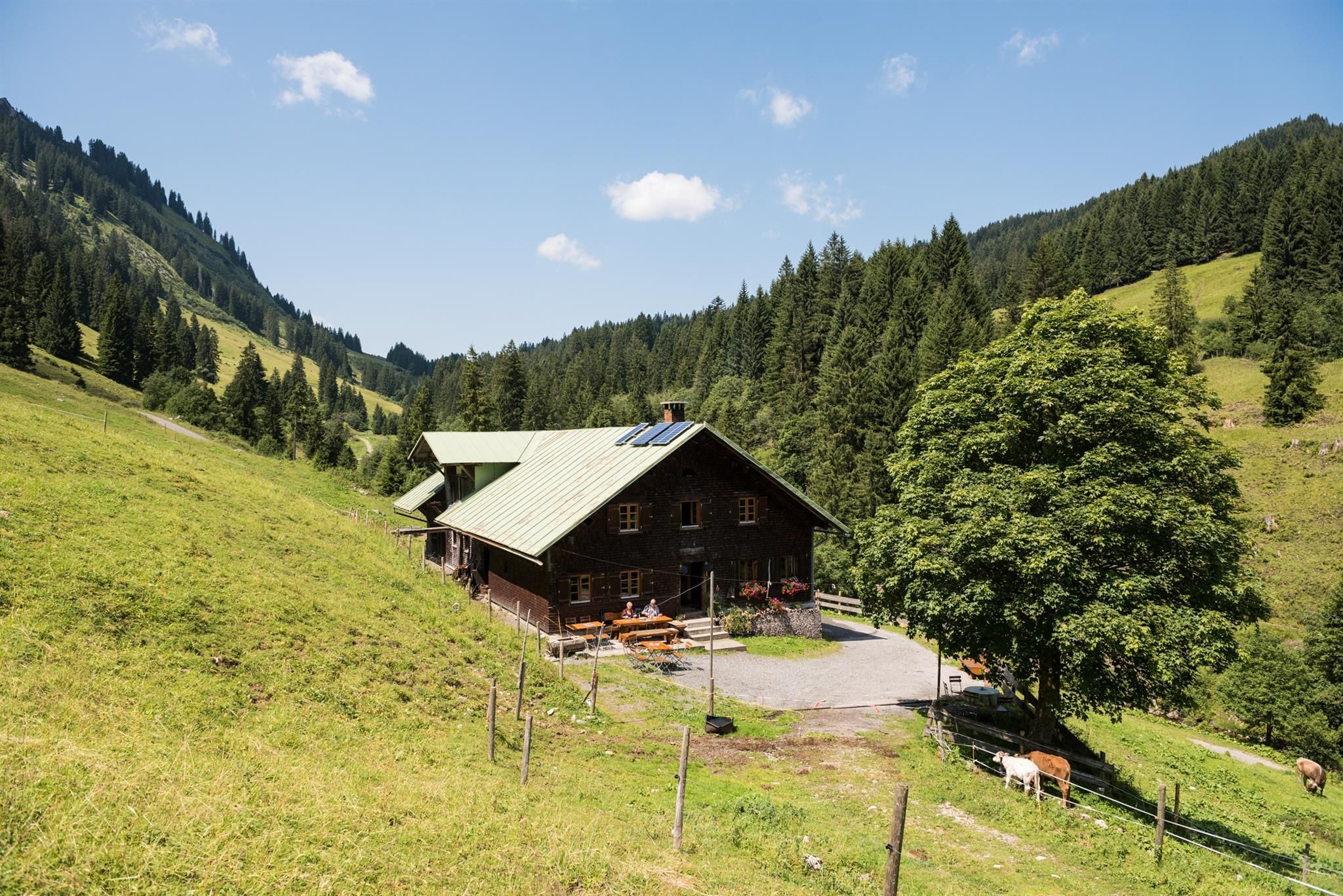 Rustikale Herzberg Alpe in Obermaiselstein mit dunkler Holzfassade und hellem Dach. Eine Terrasse mit Holztischen und Bänken lädt zum Verweilen ein.