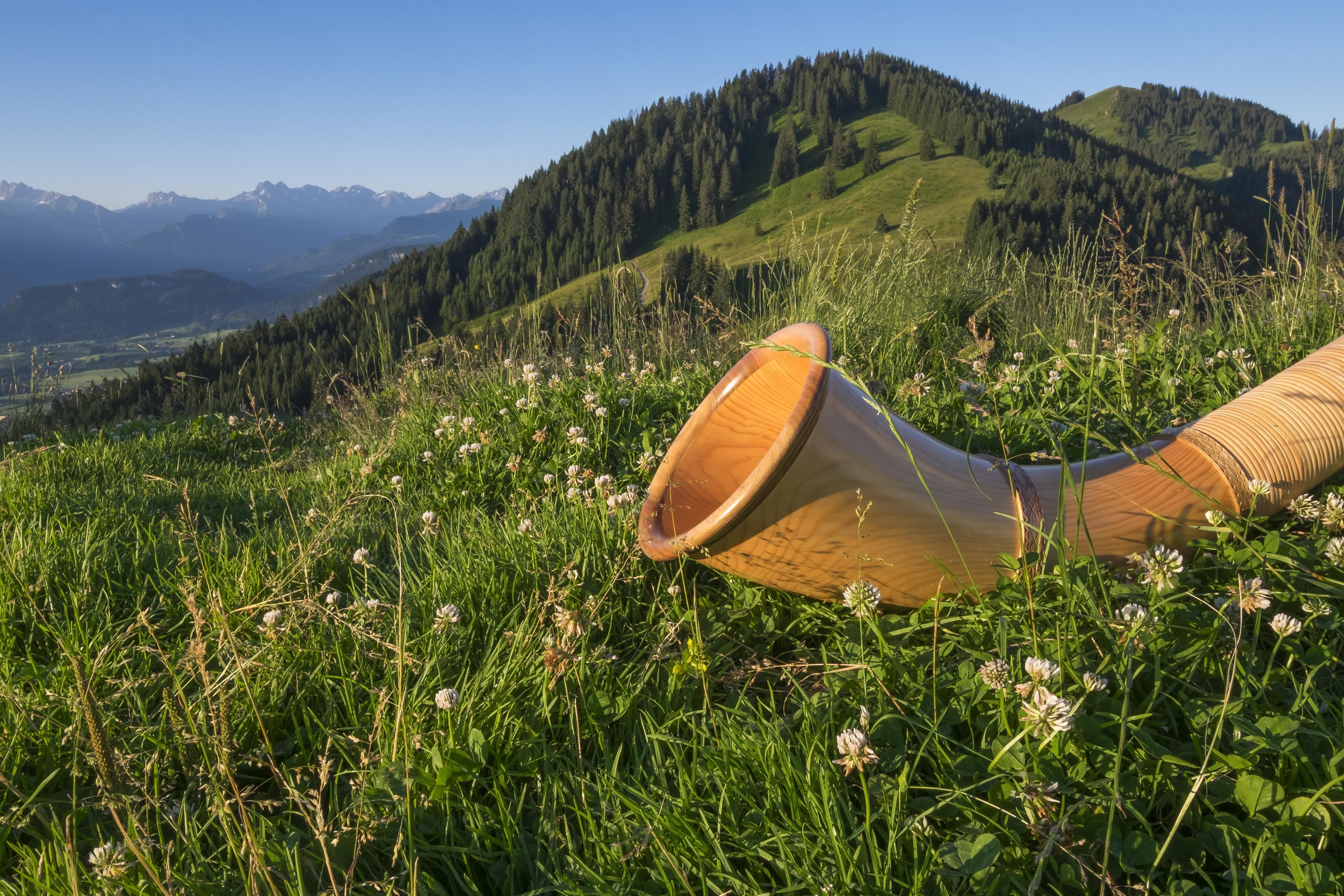 Alphorn liegt in Blumenwiese, im Hintergrund grüne Hügel und schneebedeckte Alpengipfel.