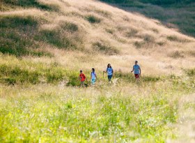 In den Hörnerdörfern macht das Familienwandern im Urlaub auf zahlreichen  leichten Touren besonders Spaß. Naturpark Nagelfluhkette im Allgäu, © Tourismus Hörnerdörfer / Gerda Eichholzer