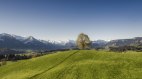Blick auf die Wittelsbacher Höhe, © Eren Kamaran
