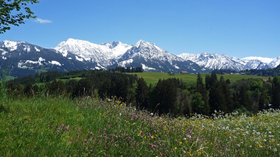 Bergpanorama im Allgäu, © Haflinger Hof
