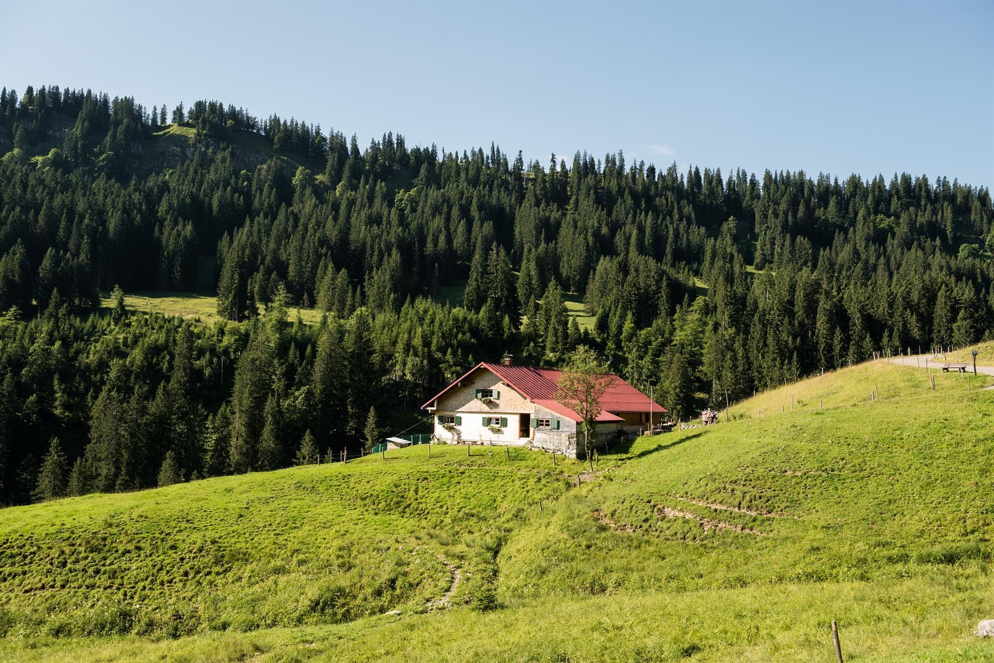 Helles Haus mit rotem Dach auf grüner Bergwiese, umgeben von dichten, dunklen Nadelwäldern unter einem klaren, hellblauen Himmel.