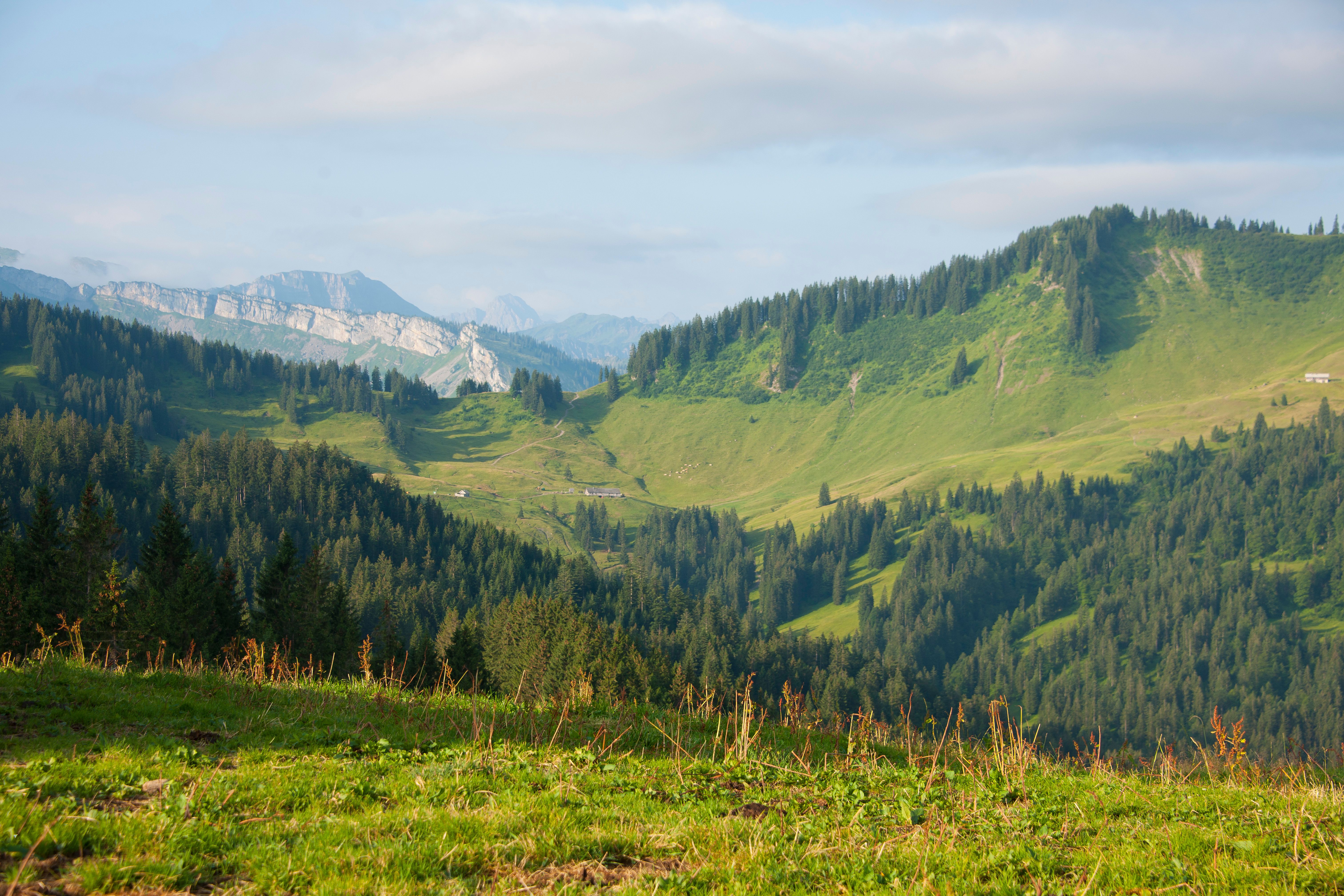 Aussicht am Gelbhansekopf bei Balderschwang
