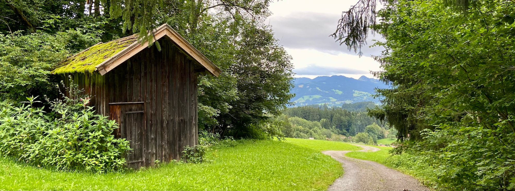 Idyllischer Hochwiesweg bei Ofterschwang