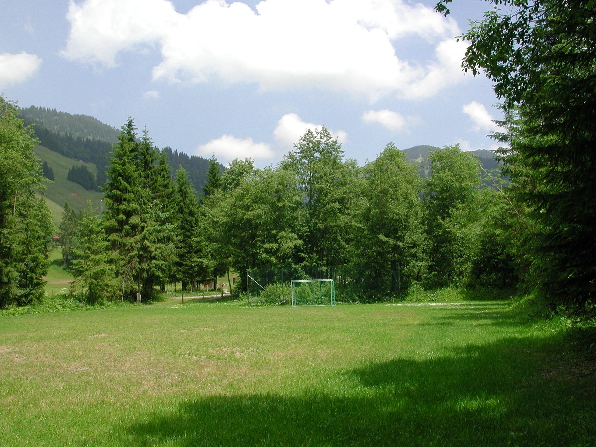 Grüner Fußballplatz in Balderschwang, umgeben von Bäumen. Weißes Fußballtor in der Mitte.