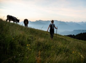 Älpler in der Allgäuer Alpen der Hörnerdörfer, © Tourismus Hörnerdörfer