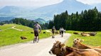Downhill-Roller am Ofterschwanger Horn im Allgäu, © Tourismus Hörnerdörfer, ProVisionMedia