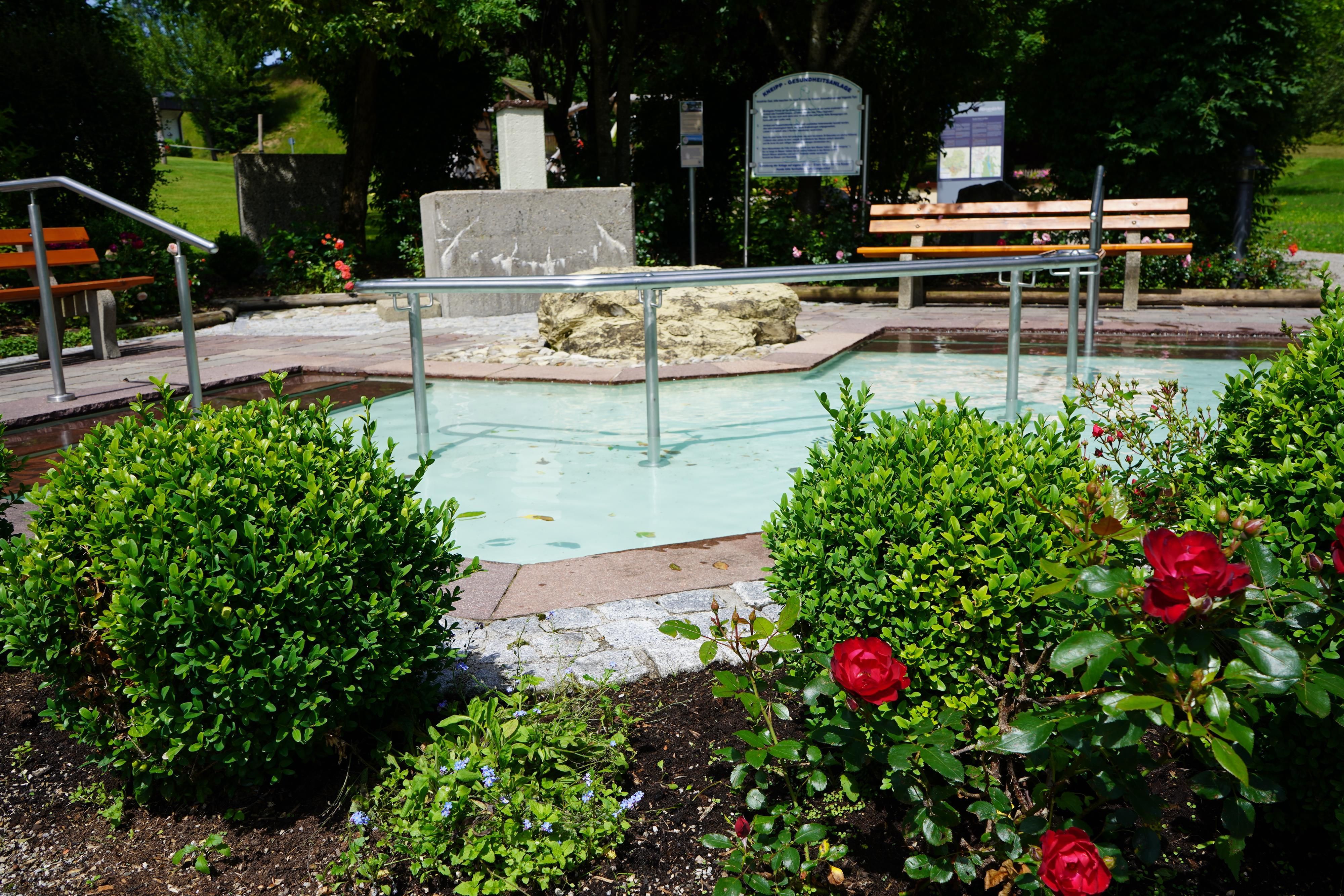 Hellblaues Wasserbecken mit silbernen Handläufen, umgeben von Steinplatten, grünen Büschen und roten Rosen. Zwei Holzbänke und Informationstafeln stehen in der Nähe.