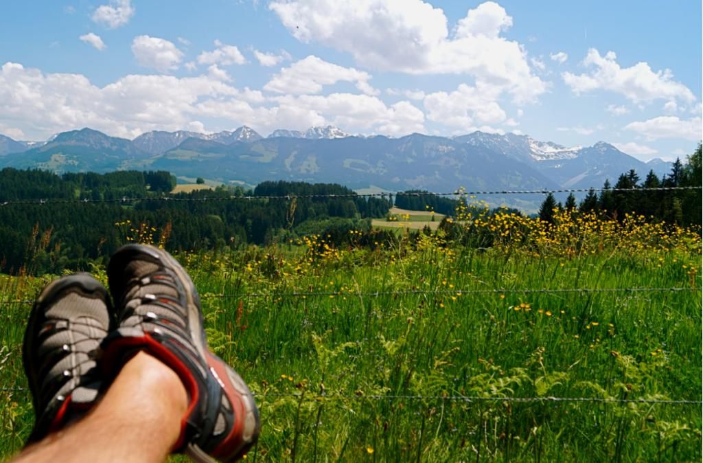 Blick vom Naturlehrpfad auf blühende Wiesen, Wälder und die Alpenkulissse