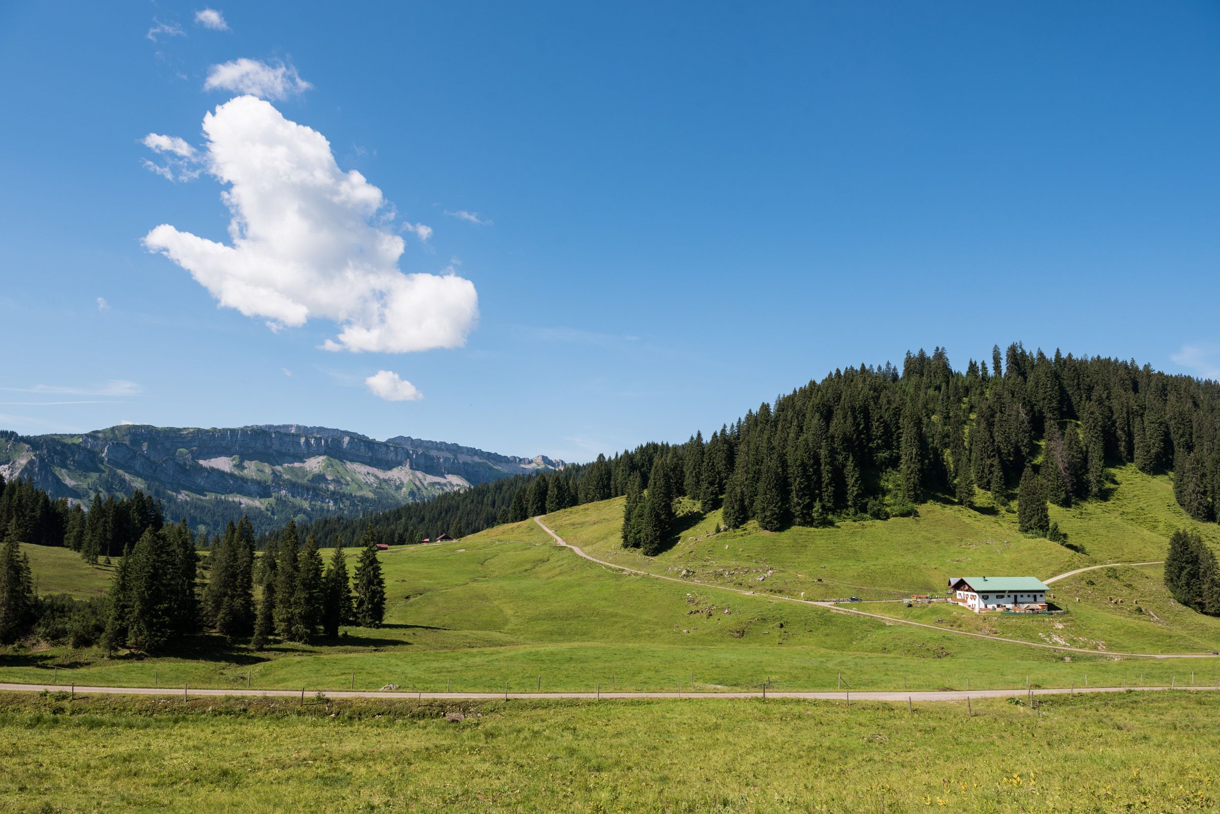 Alpe Dinjoergen mit Alpwiesen und Wäldern bei Obermaiselstein