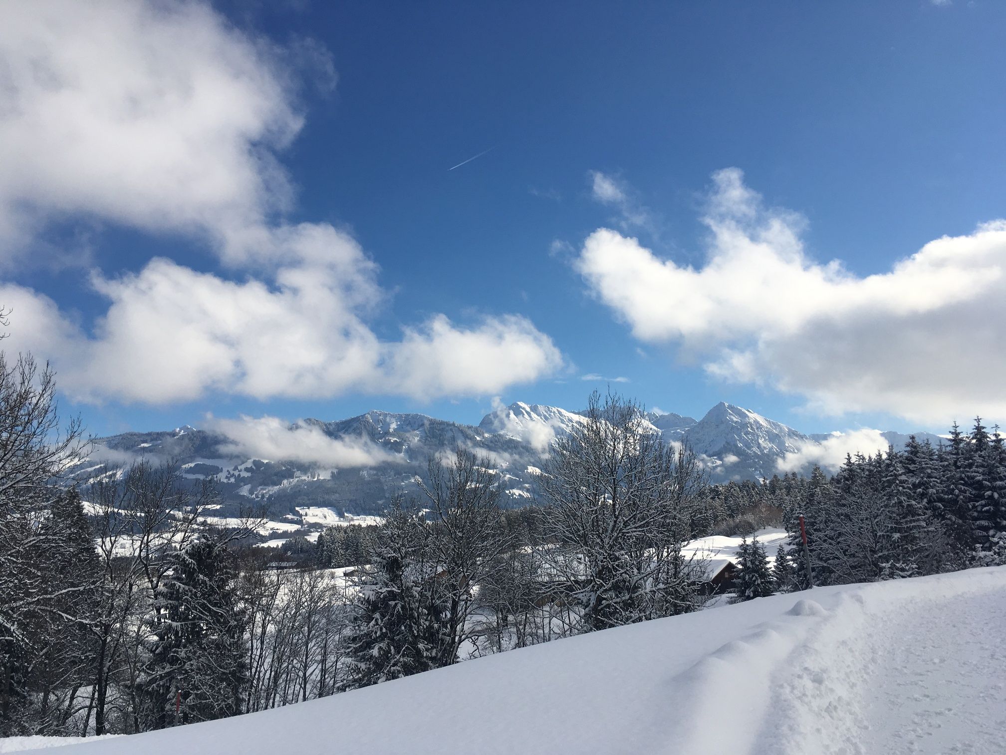 Blick nach Riedle und auf die verschneiten Allgäuer Alpen