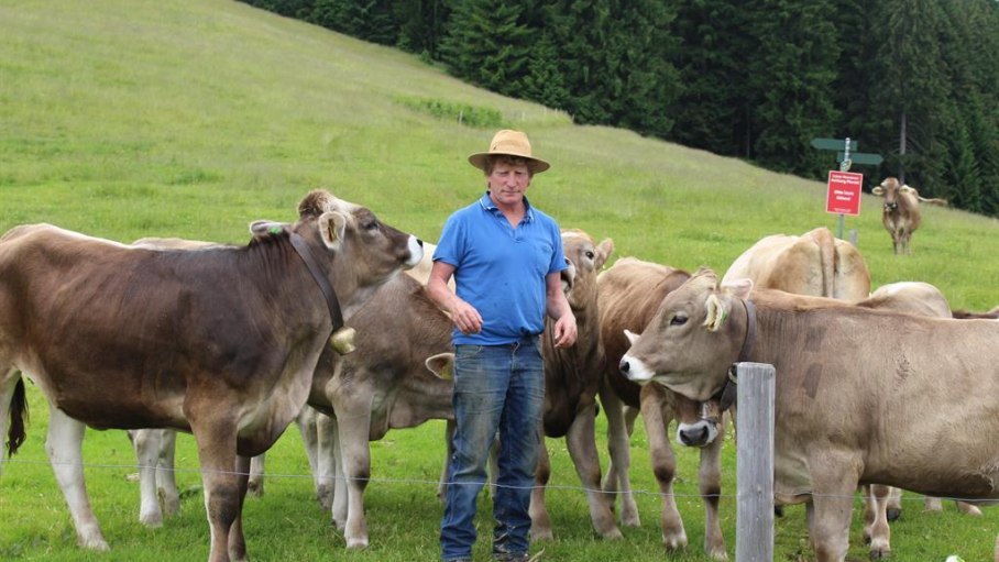 Bauer Sepp mit seinen Kühen