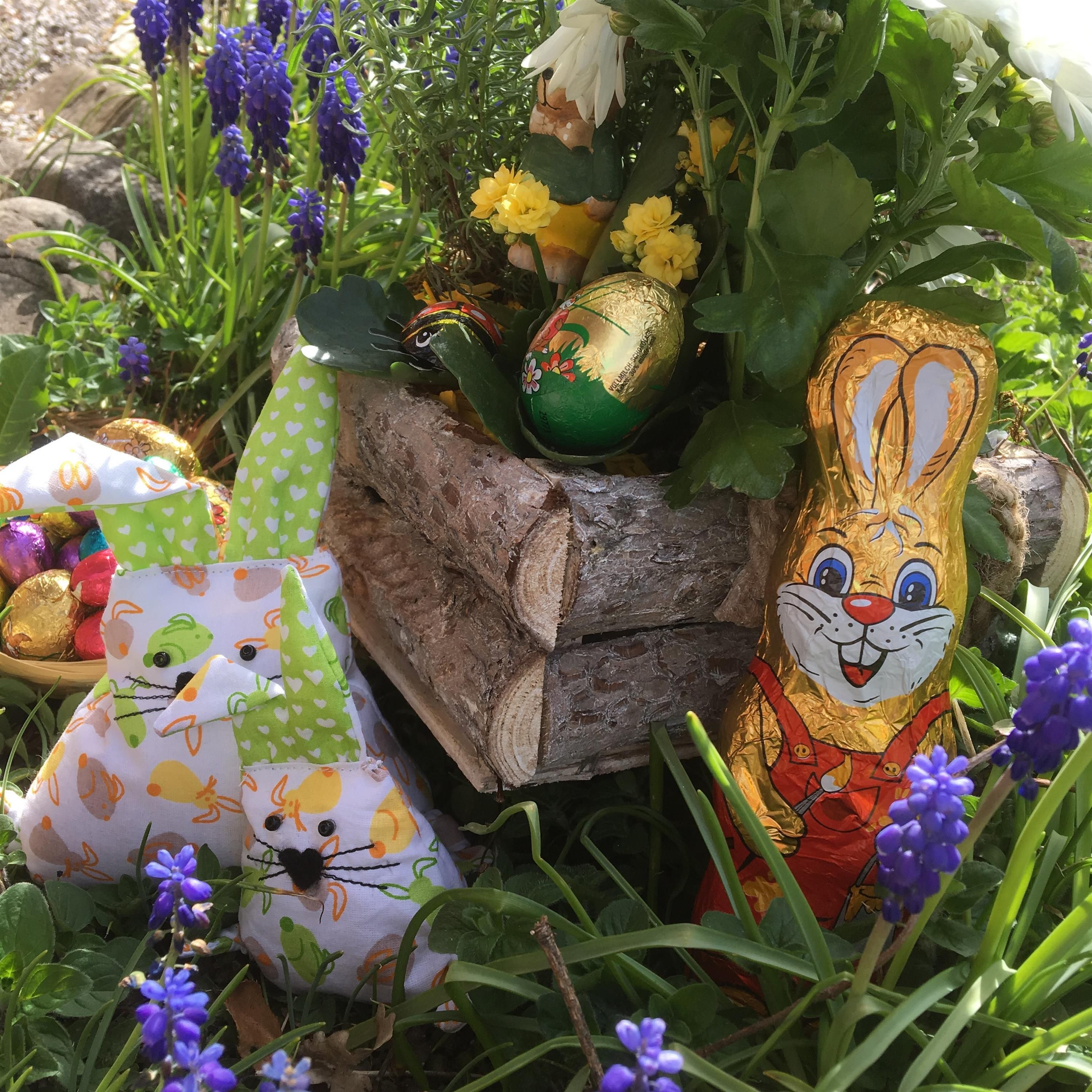 Ein golden verpackter Schokohase und Osternester mit Eiern inmitten von blühenden Traubenhyazinthen.