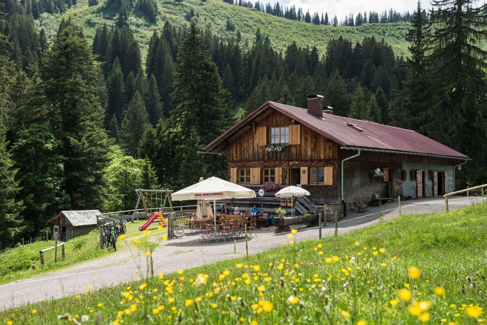 Alpe Bolgen in Bolsterlang, Berghütte mit Terrasse, grüne Wiese mit Blumen, bewaldete Hügel.