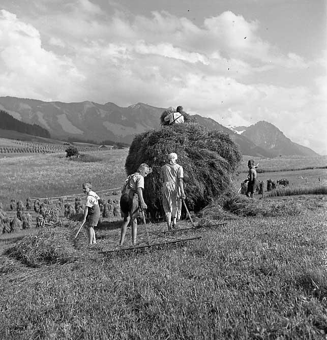 Eine Schwarz-Weiß-Aufnahme zeigt mehrere Personen bei der Heuernte auf einem Feld vor einer Bergkulisse unter bewölktem Himmel.