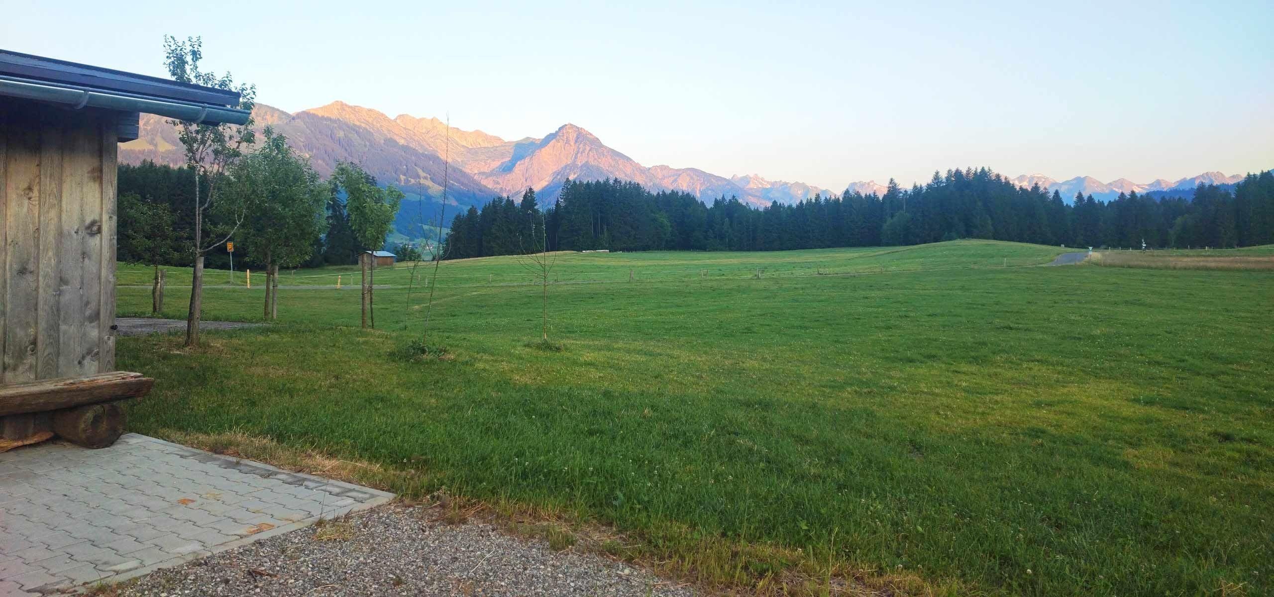Grüner Stellplatz mit Grasfläche, umgeben von dunklen Tannenbäumen. Im Hintergrund hohe, helle Berge unter blauem Himmel.