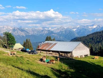 Alpe Hinteregg bei Bolsterlang, © Tourismus Hörnerdörfer, F. Kjer