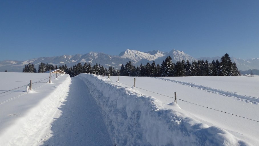 Winterwandern, © Ferienwohnung Steiner - Bolsterlang