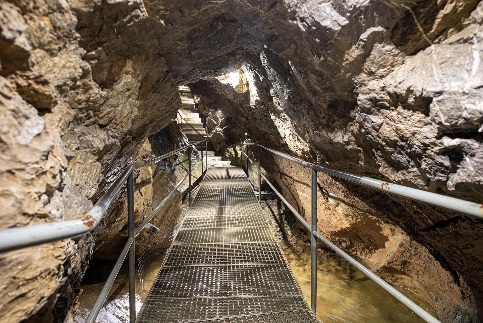 Ein schmaler Steg führt durch eine beeindruckende Höhle mit rauen Felswänden. Das Wasser fließt sanft im Hintergrund, während das Licht den Weg erhellt.