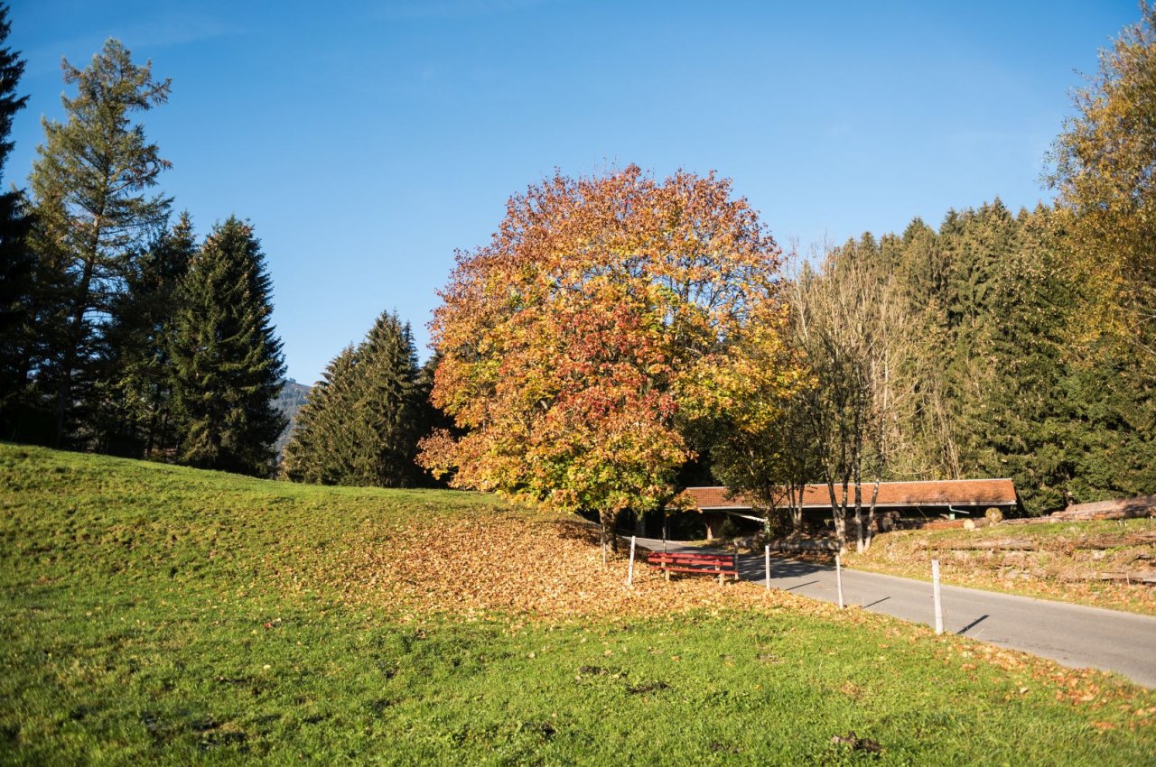 Herbst in Bolsterlang im Allgäu. Wanderurlaub und Erholung in den Hörnerdörfern, © Tourismus Hörnerdörfer, F. Kjer