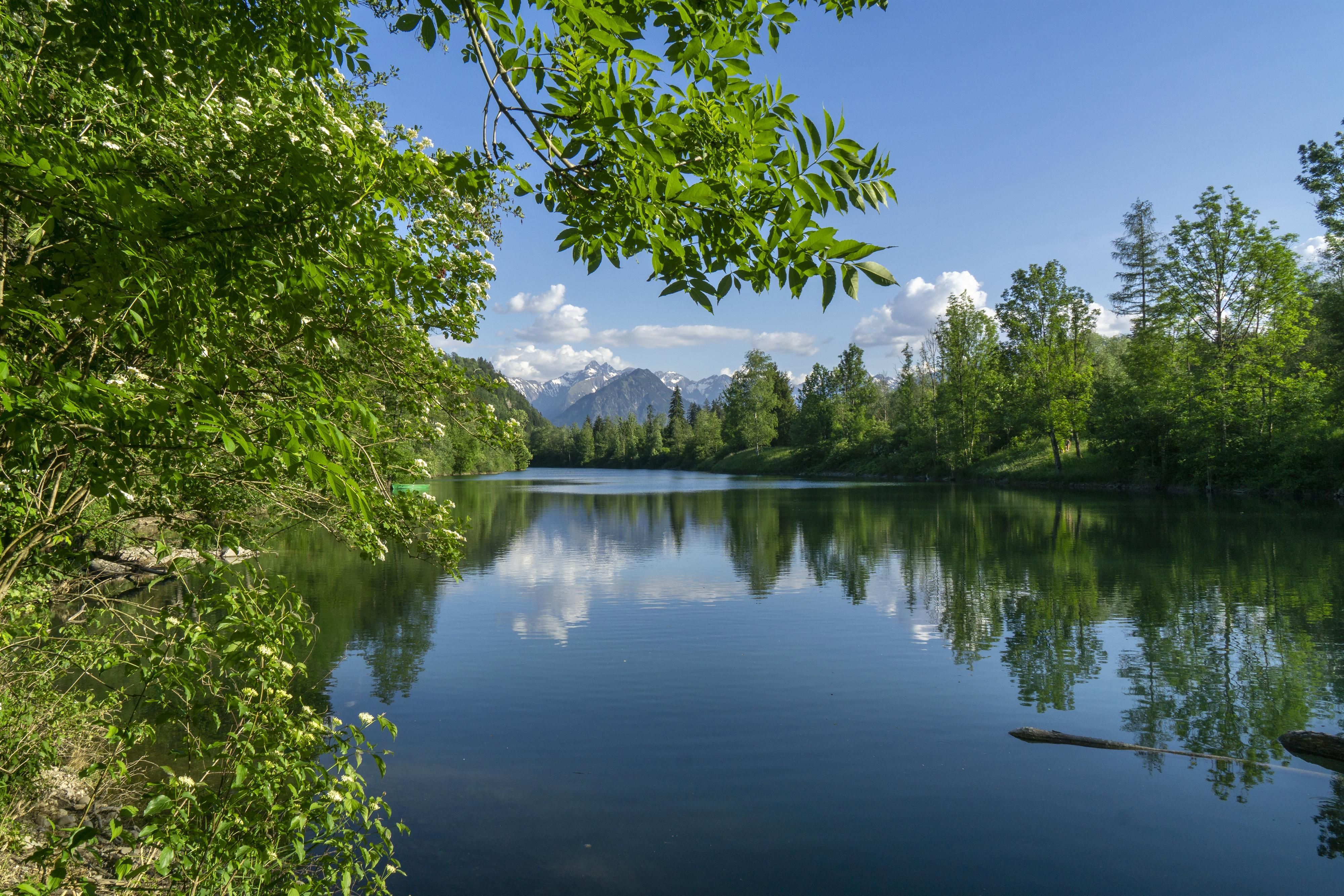 Der Auwaldsee im Sommer, dicht bewachsen mit Büschen und Bäumen.
