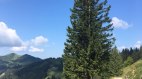 Blick zum Berghaus Schwaben