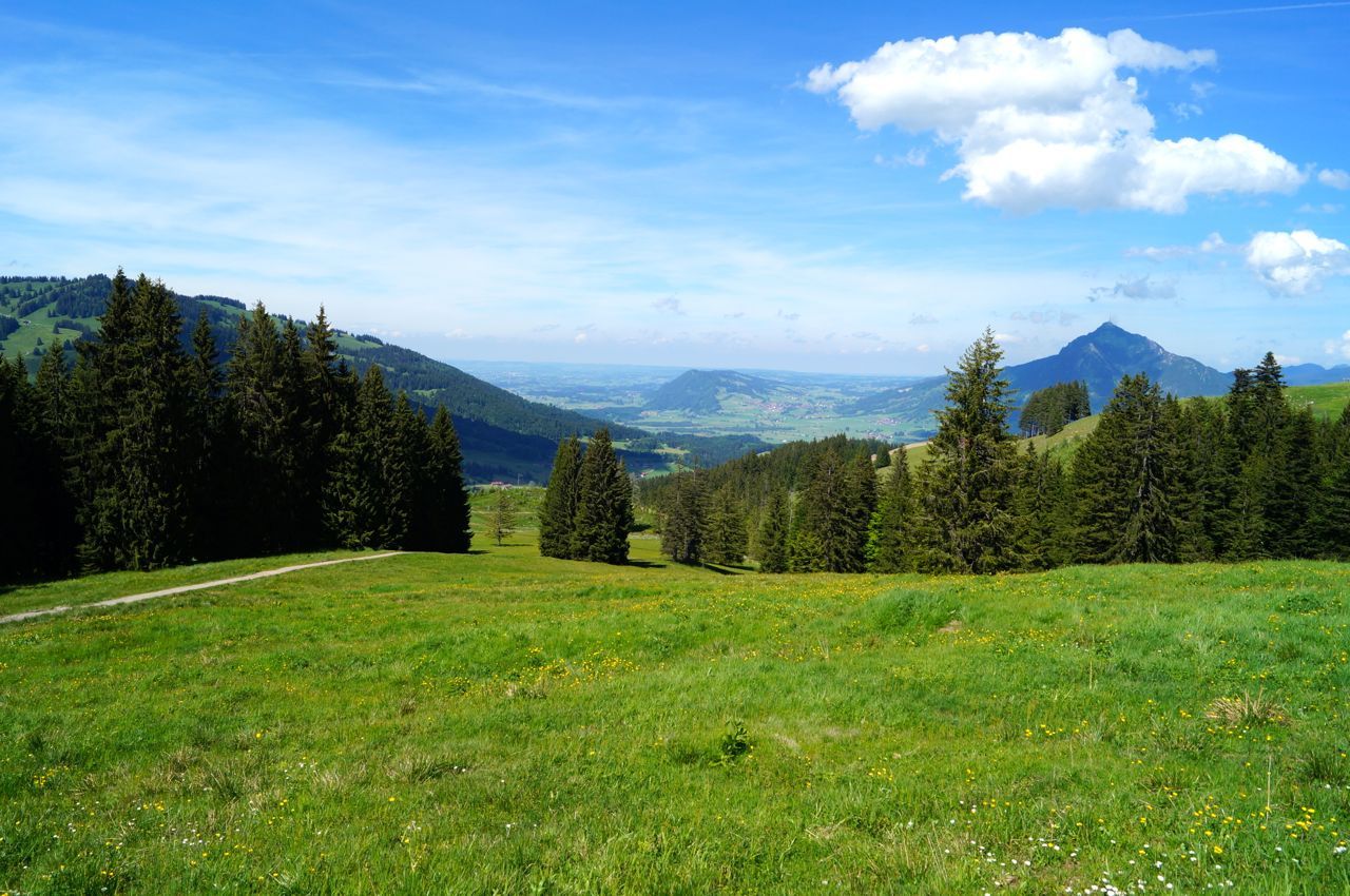 Wandern_Ofterschwang_Gaisrücken©M.Redecker_DSC09842