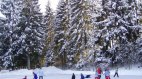 Eislaufen, Eisstockschießen, Schlittschuhe, © Tourismus Hörnerdörfer