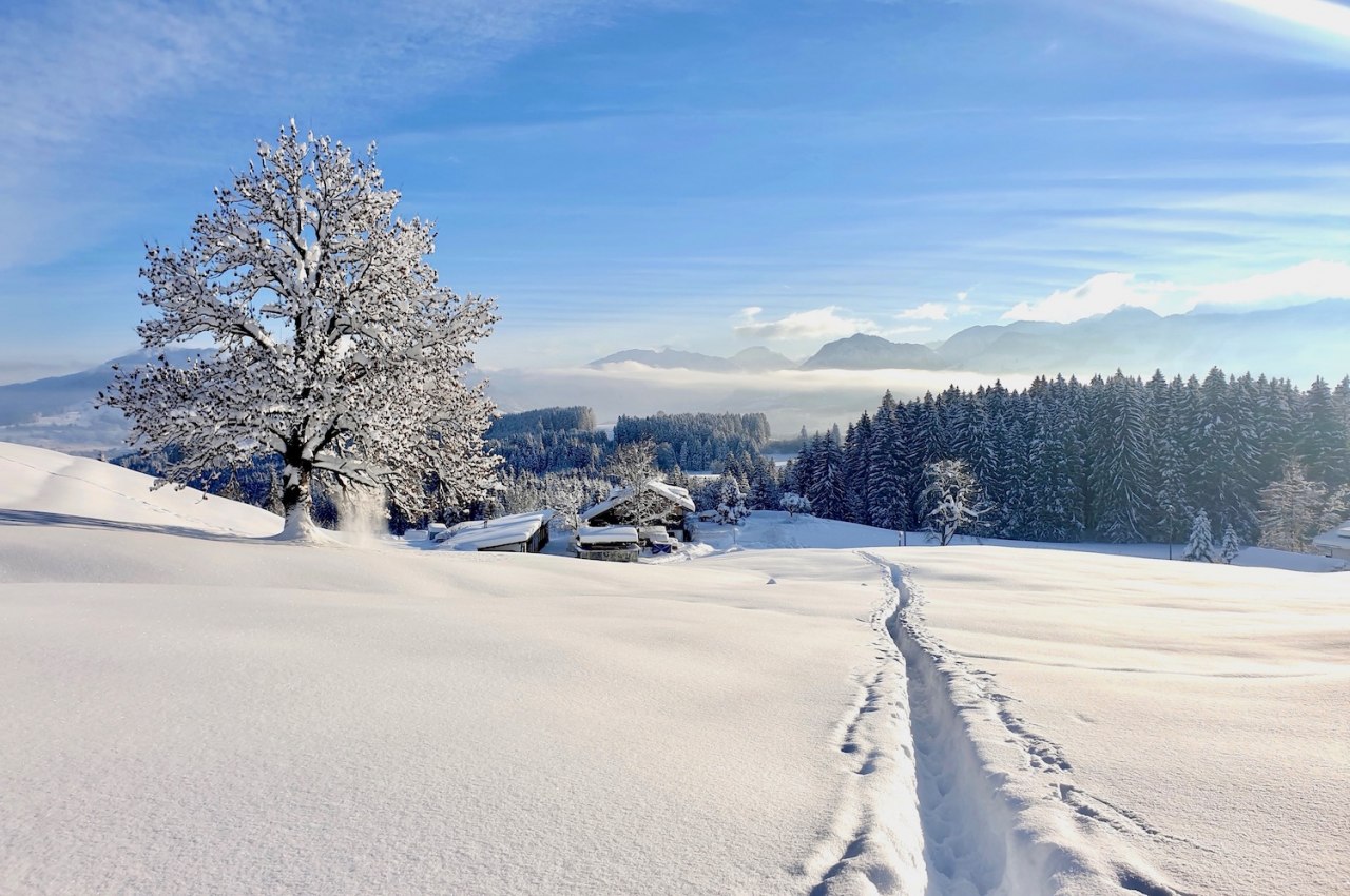 Viel Platz, viel Sonne, viel Schnee - beim Winterurlaub in den Allgäuer Hörnerdörfern, © Tourismus Hörnerdörfer, T. Weirich