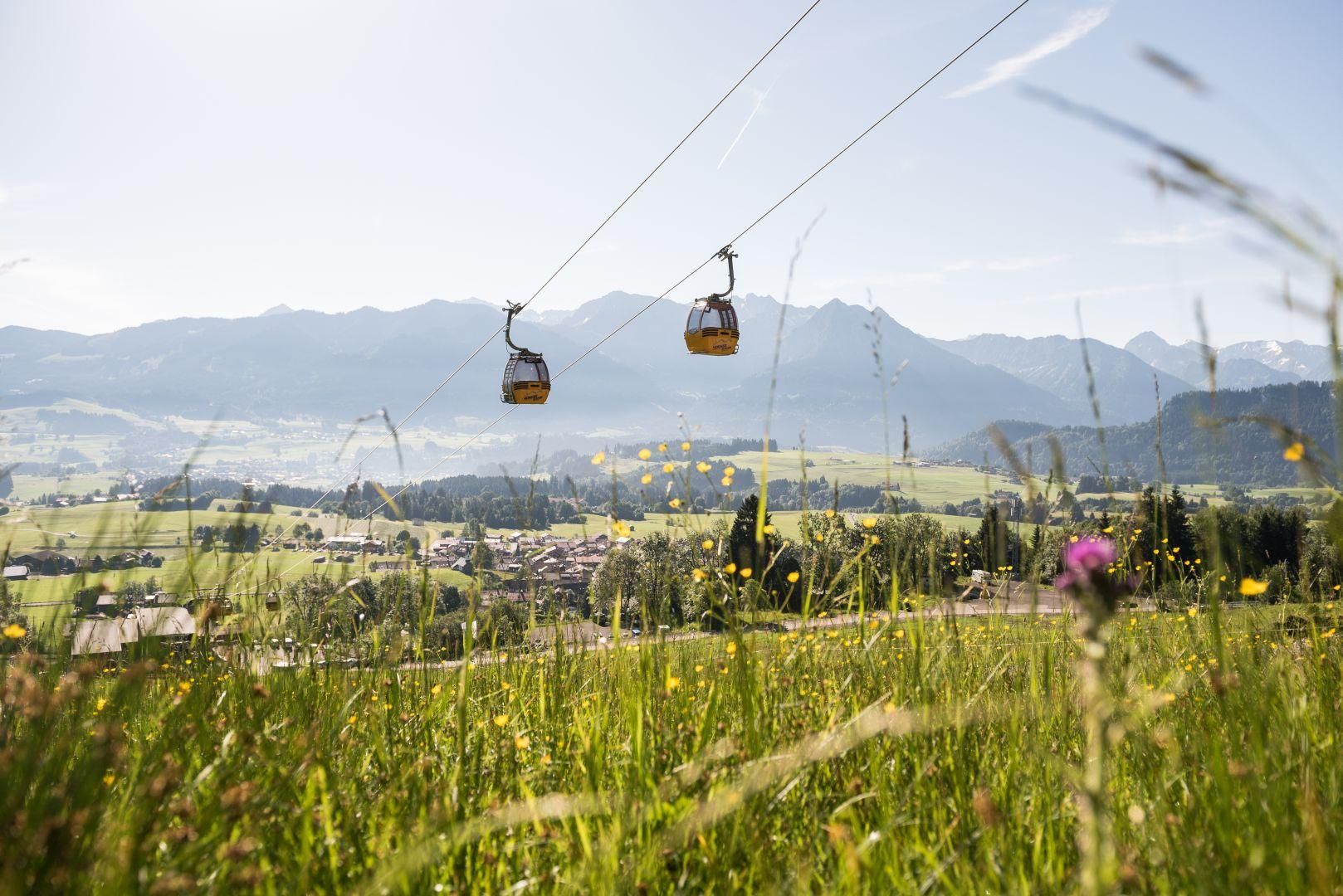 Zwei gelbe Gondeln der Hörnerbahn schweben an Seilen über eine grüne Landschaft. Im Vordergrund eine blühende Wiese mit gelben und lila Blumen.