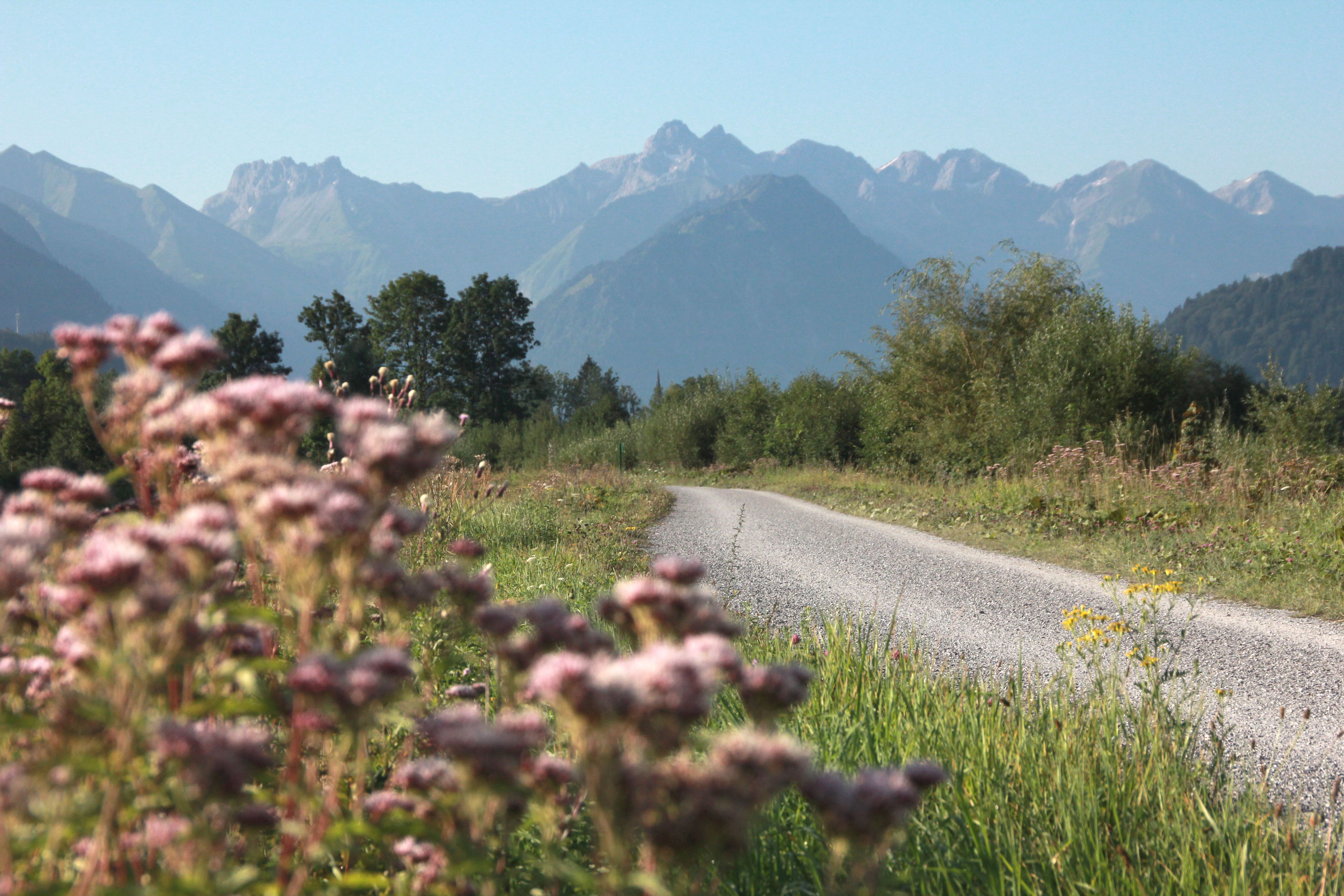 Iller-Radweg zwischen Fischen und Sonthofen, Allgäuer Alpen 14 2012 © Allgäu GmbH Gerhard Eisenschink