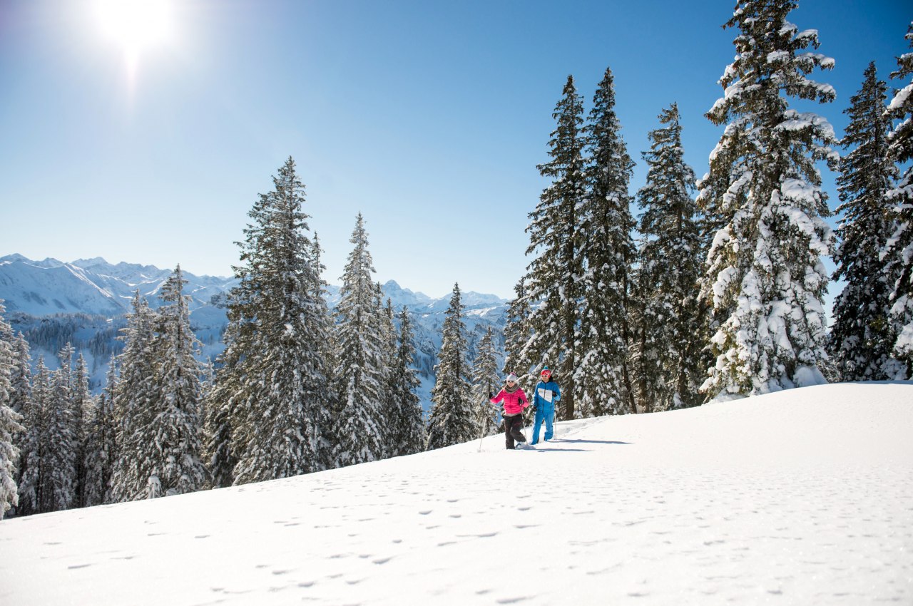 Eine geführte Schneeschuhtour im Naturpark Nagelfluhkette im Allgäu dürfte bei einem Urlaub in den Hörnerdörfern nicht fehlen, © Tourismus Hörnerdörfer, F. Kjer