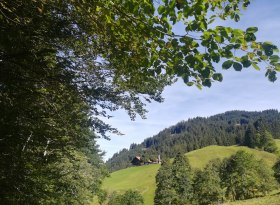 Blick auf den Alpen-Gasthof Gaisalpe