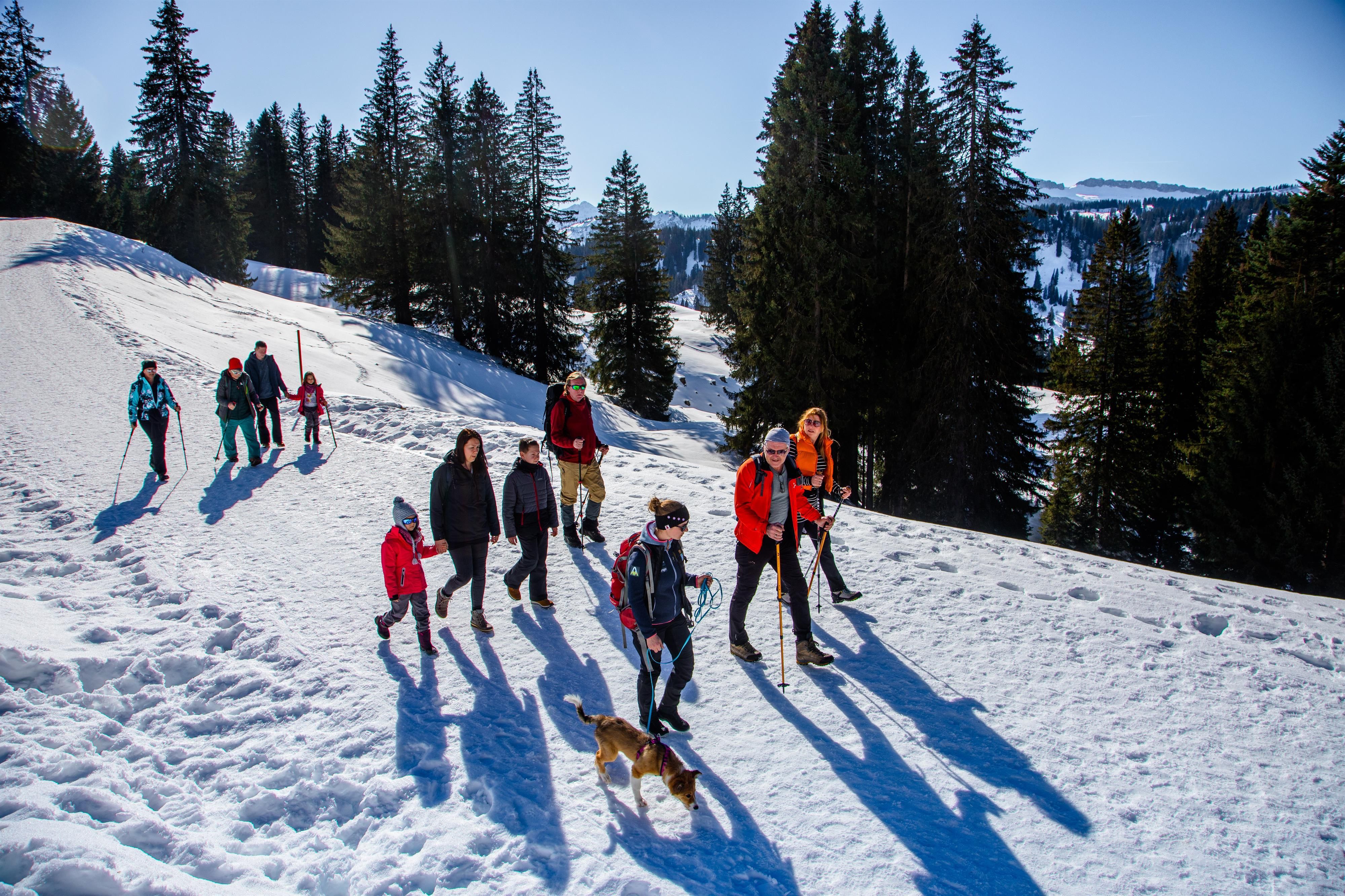Eine Gruppe Wanderer mit einem Hund wandert auf einem schneebedeckten Weg zur Mittellalpe.