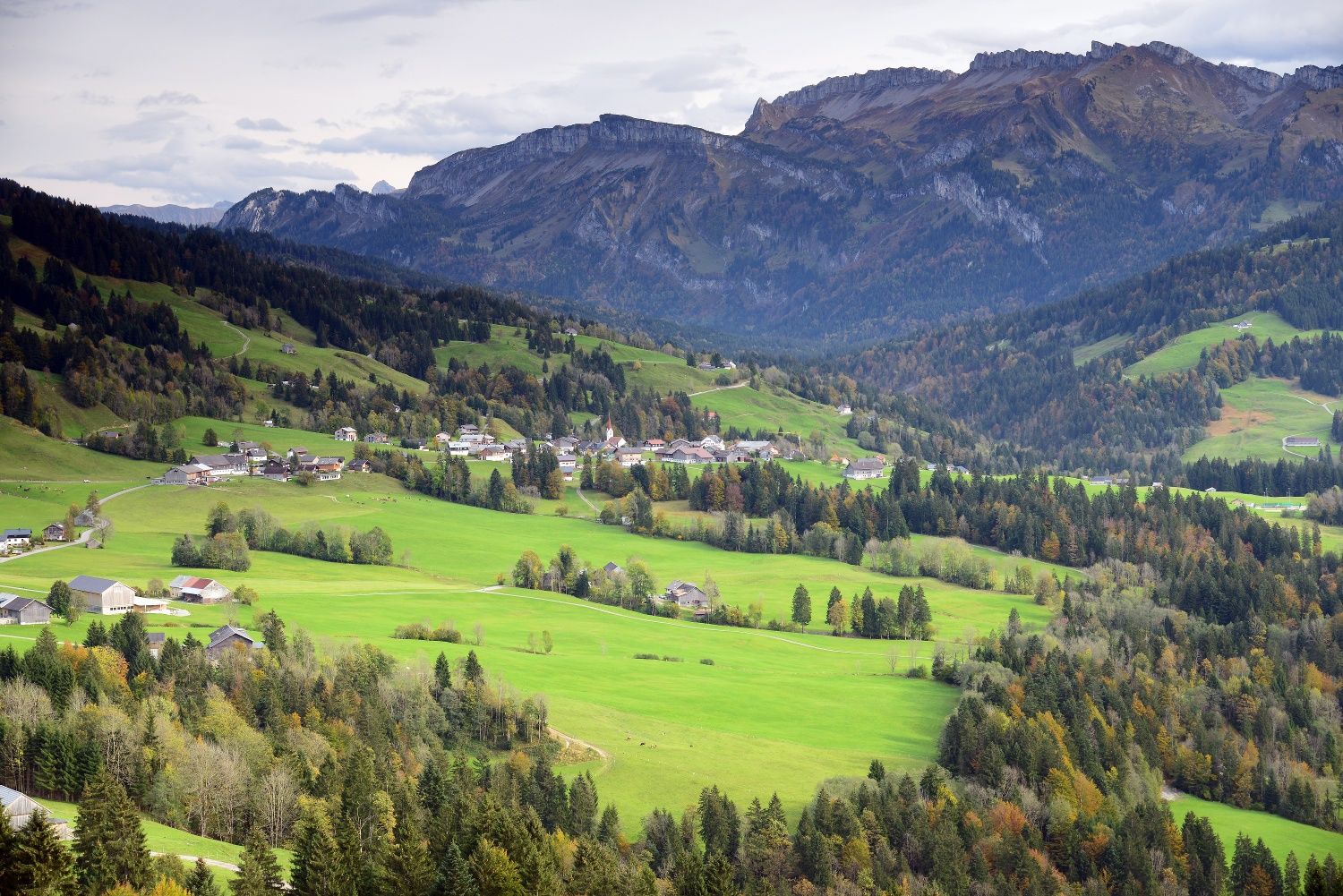 Blick auf Sibratsgfäll in Wald-Wiesen Landschaft zwischen der Alpenbergwelt