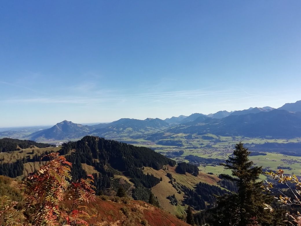 Blick auf Bolsterlang Horn und Grünten im Hintergrund