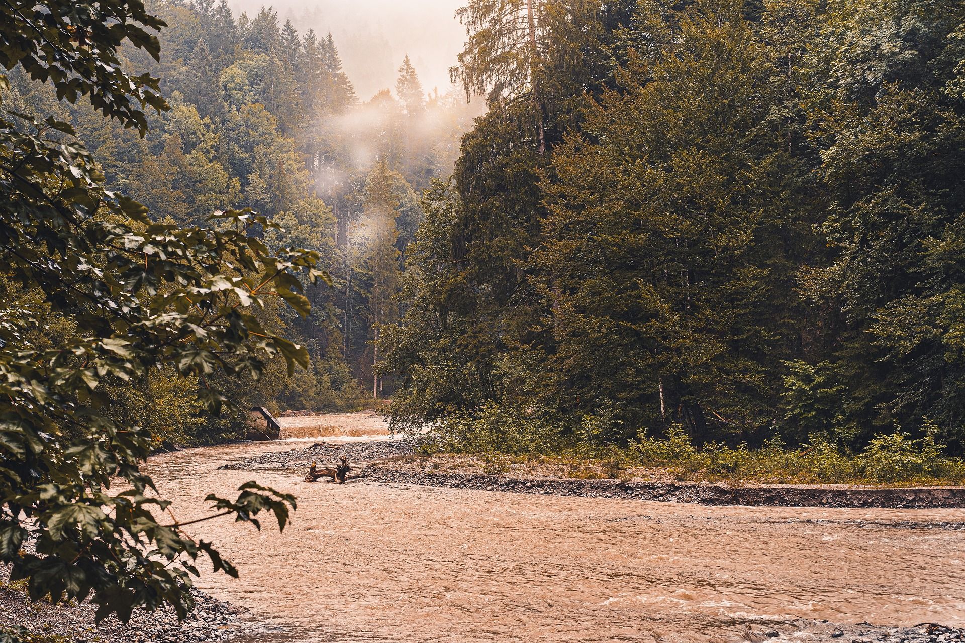 Trettach umgeben von hohen Wäldern