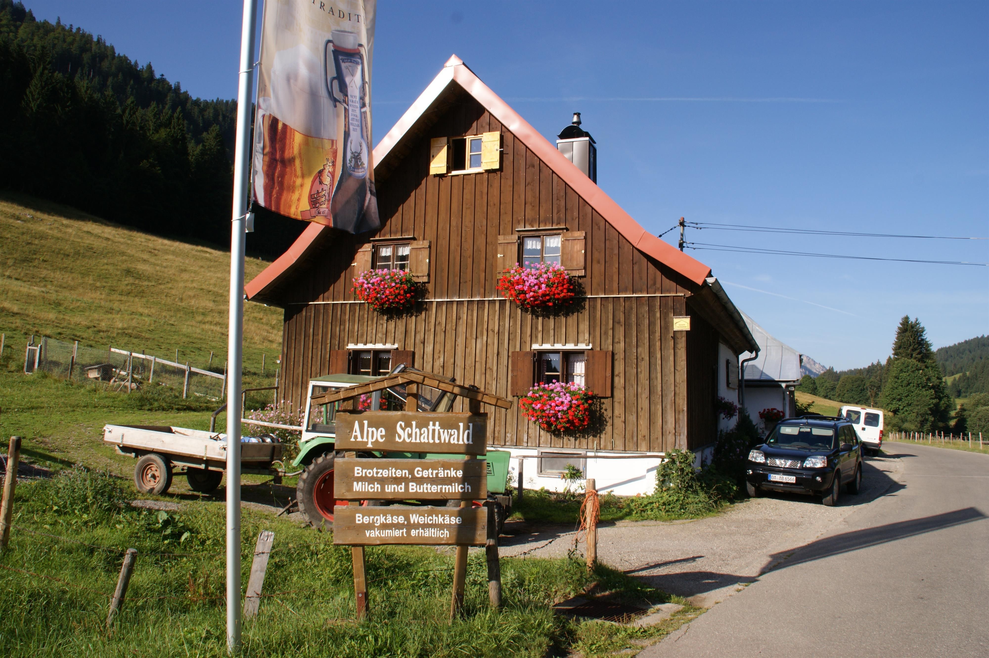 Ein Holzwegweiser mit der Aufschrift "Alpe Schattwald". Grüne Wiesen und einige Kühe sind im Hintergrund zu sehen.
