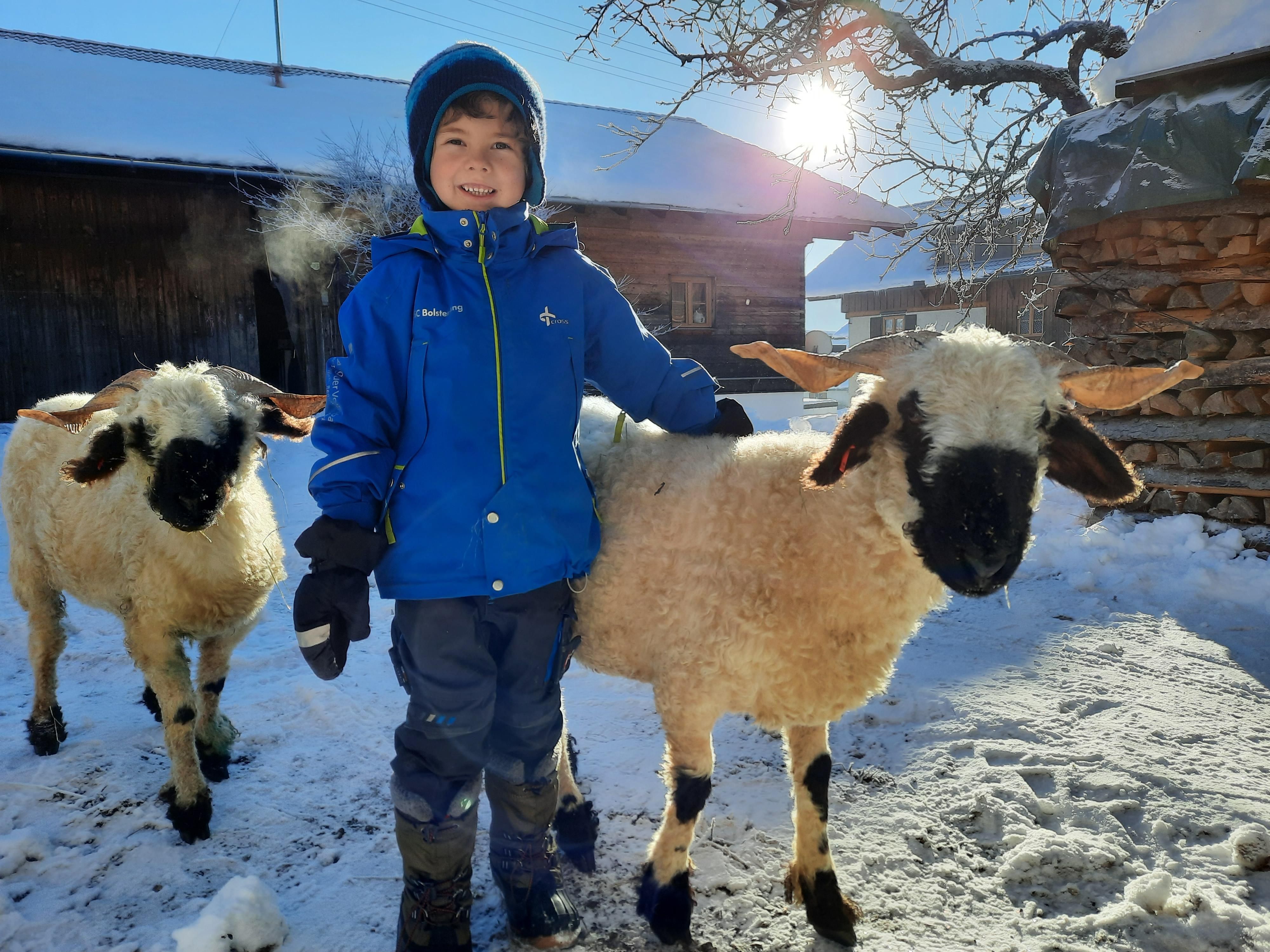 Ein lächelnder steht im Schnee und streichelt ein Walliserschaf.