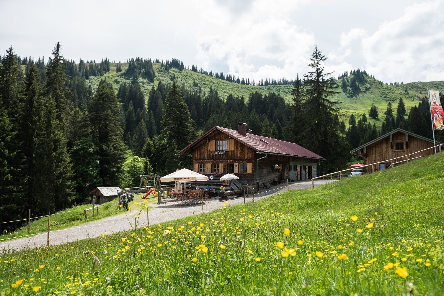 Alpe Bolgen mit Frühlingswiese und Berglandschaft