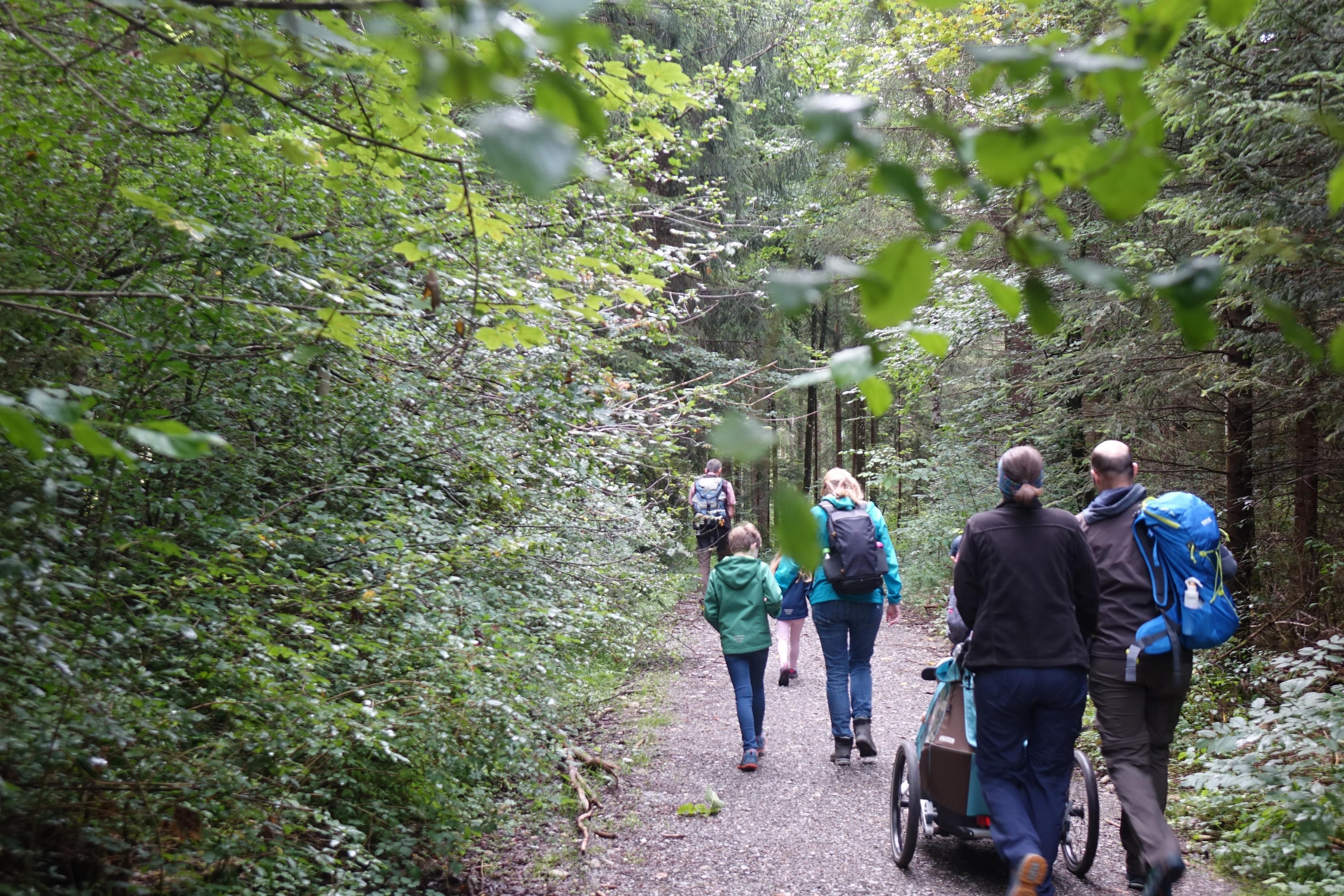 Familien wandern auf einem breiten Weg mit Kindern und Kinderwagen durch den Wald.