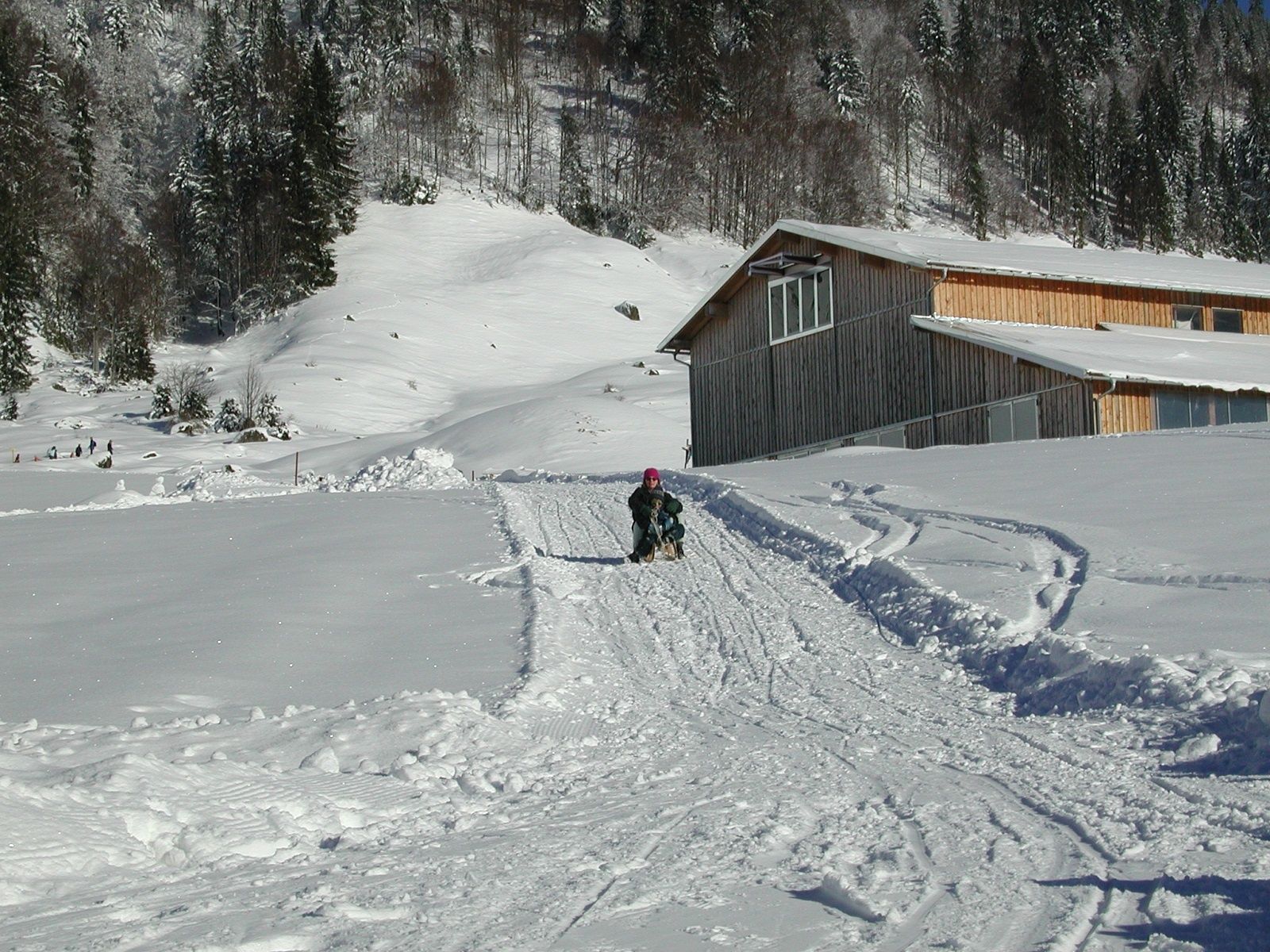 Rodler auf Rodelstrecke an der Obere Socher-Alp bei Balderschwang