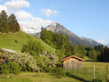 Wandern mit Kinderwagen| Hrnerdrfer im Allgu