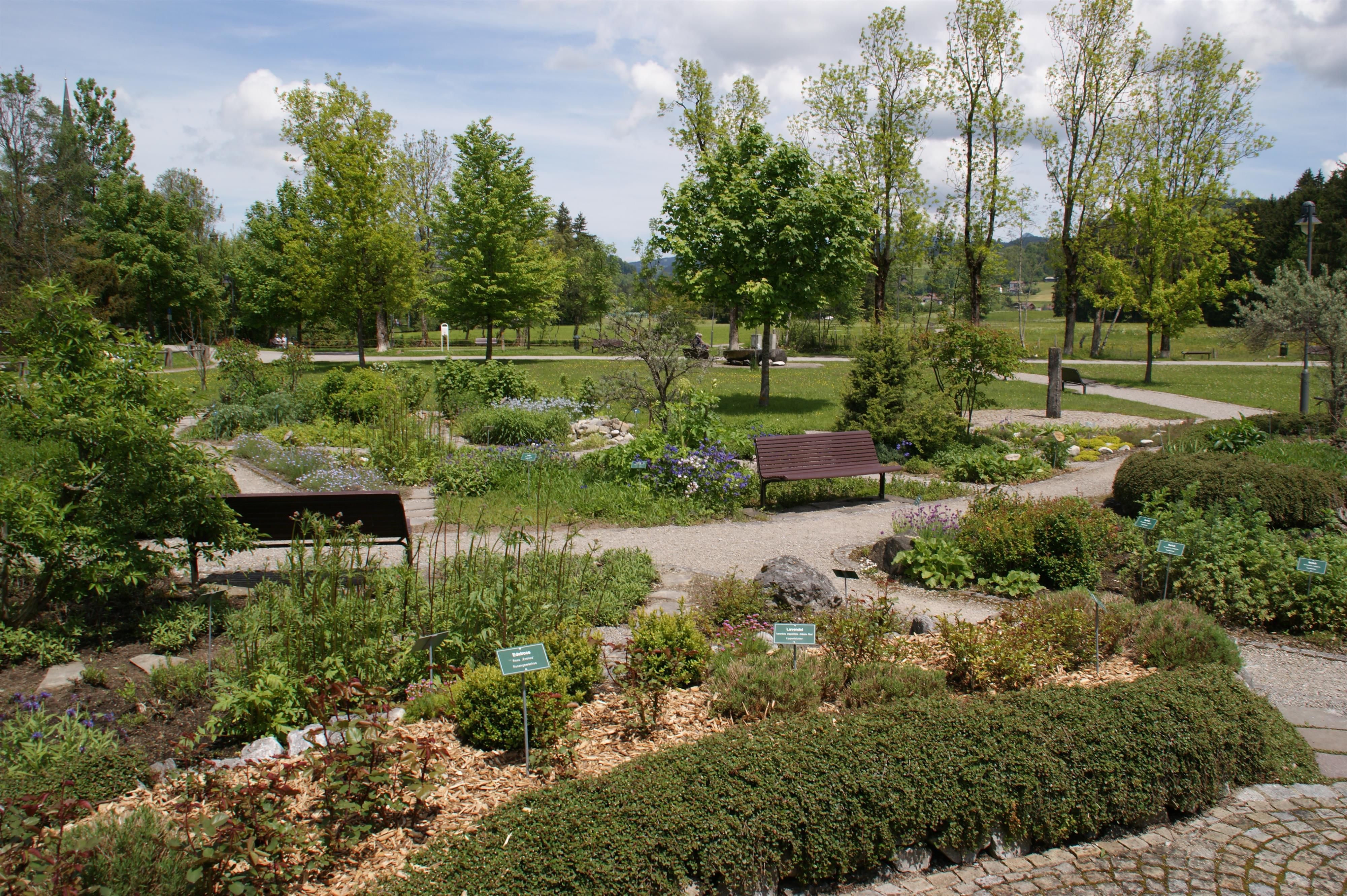 Der Kräutergarten in Fischen, Blickrichtung Norden.