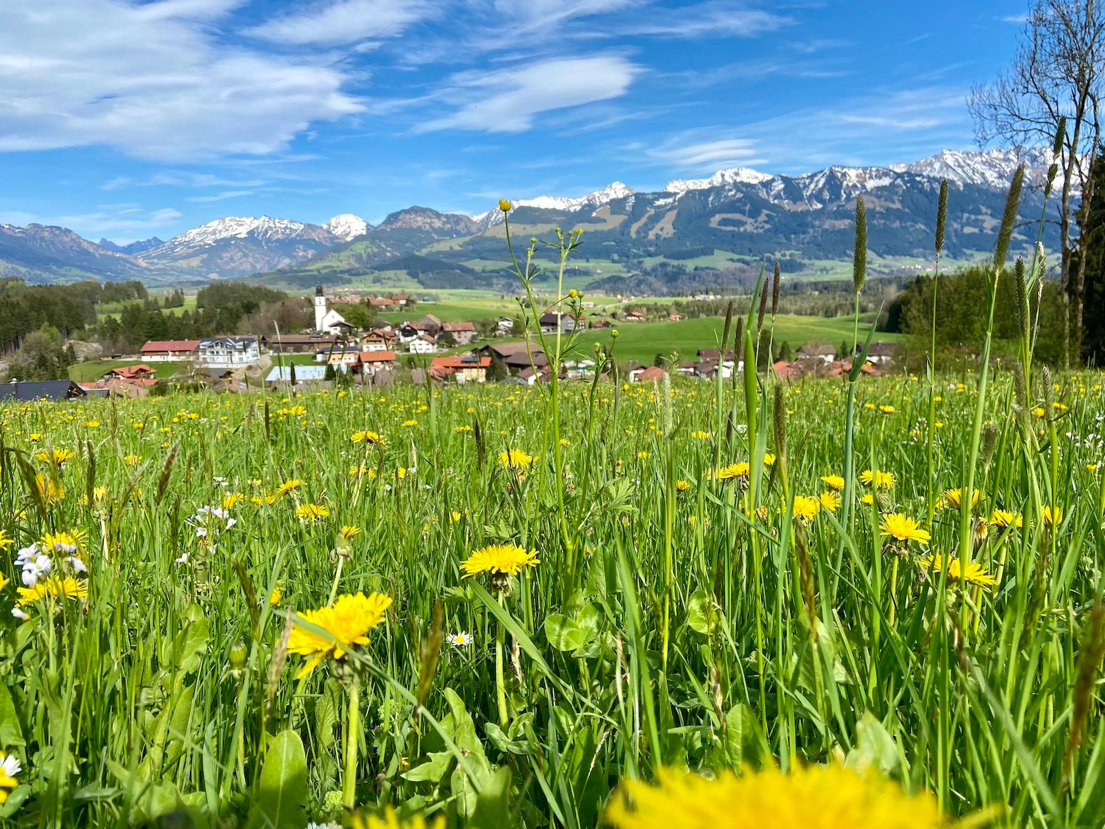 Blick auf Ofterschwang und die Sonnenköpfe