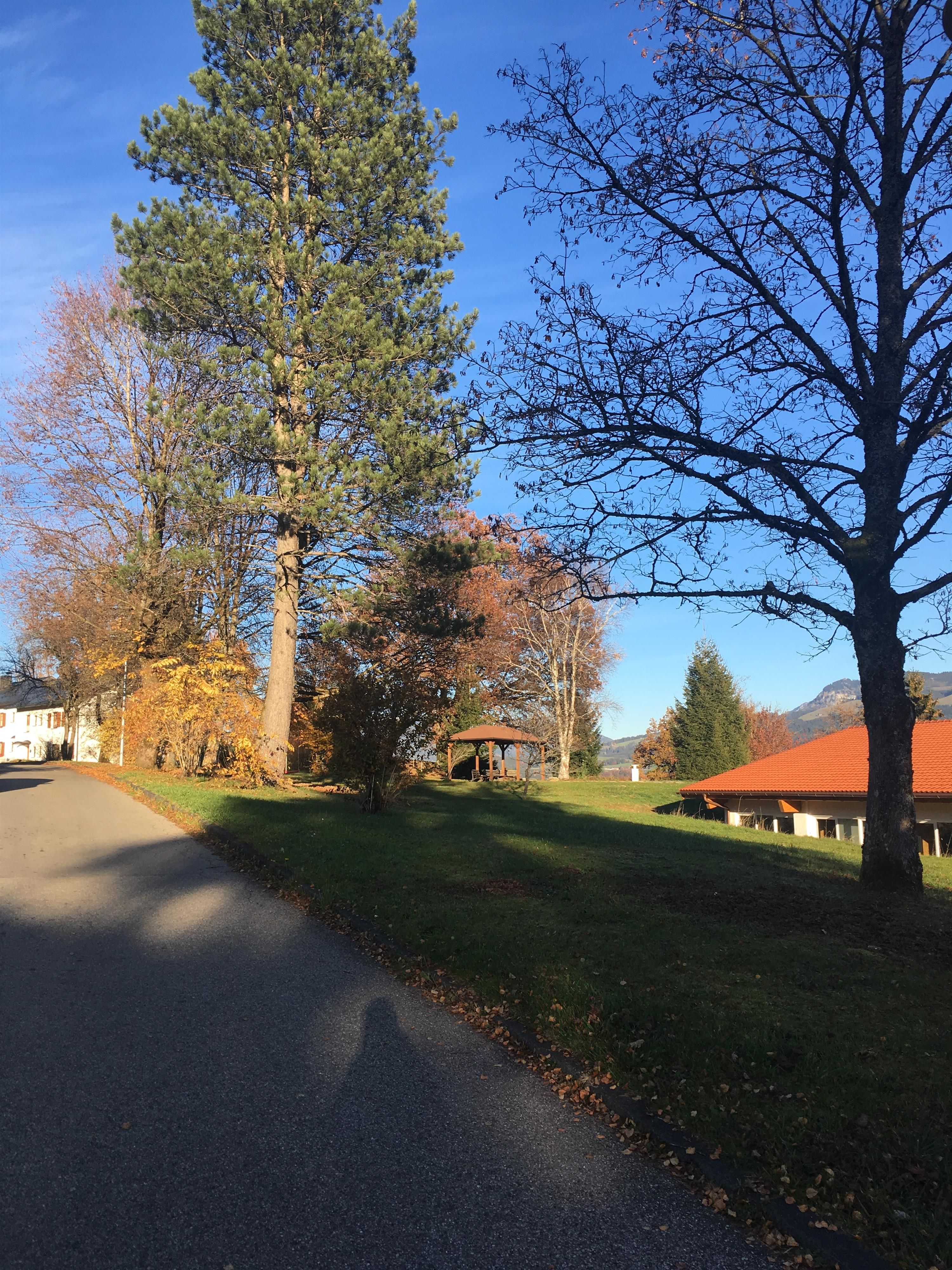 Herbstliche Landschaft in Hirtenstein mit hohem Nadelbaum, buntem Laub und einem Pavillon auf einer grünen Wiese.